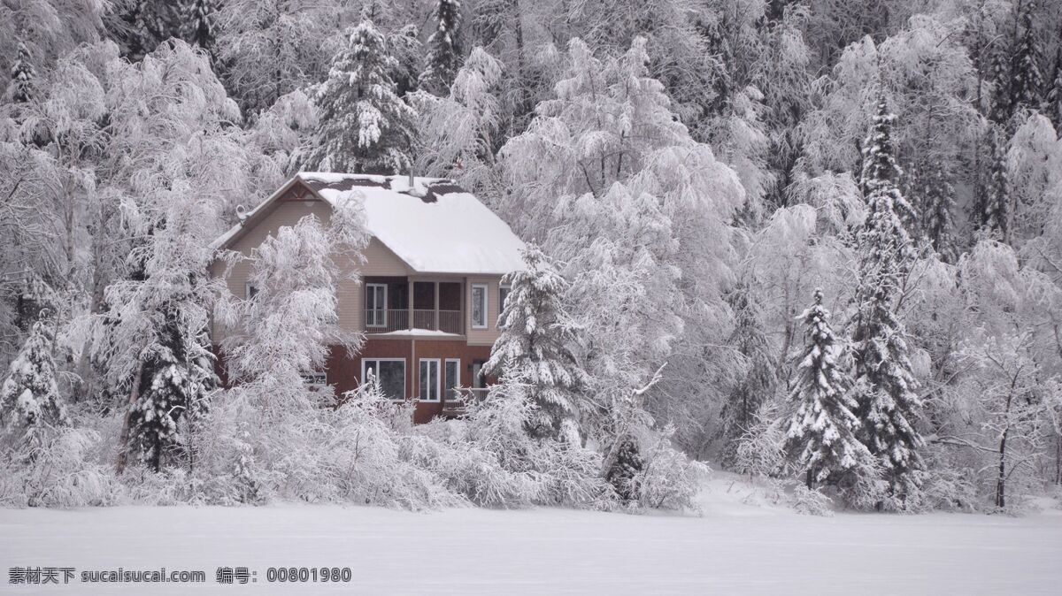 唯美 意境 冬日 雪景 天空 清新 森林 自然风光 太阳 风景 自然景观 田园风光