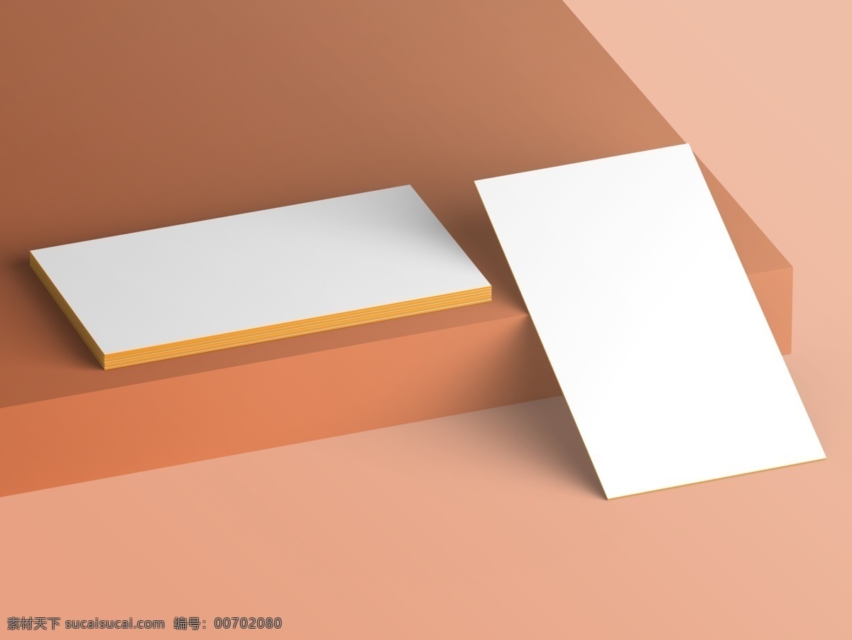 名片 展示 效果图名片 名片展示样机 mockup 邀请函 优惠券 底纹边框 背景底纹