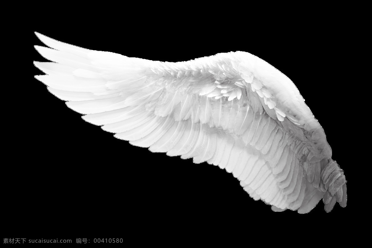 天使 翅膀图片 翅膀 白色 纯洁 分层 背景素材
