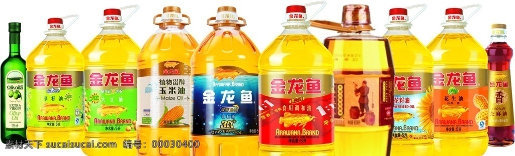 金龍魚花生油 食用油 金龍魚油 分層圖 瓶裝 各種食用油