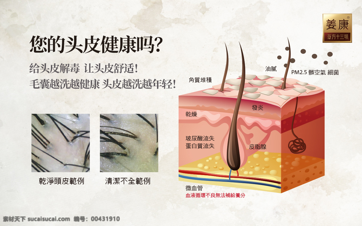 姜康 中药洗发图片 中药洗发 优惠券 宣传单 植物生发 护发 育发 十三味 馨美 国际 养生 spa 足浴 会所 抵金券 足疗 头疗 护发素 无硅油 净化 头皮 头发 毛囊 发根 毛发 展板 展架 海报制度