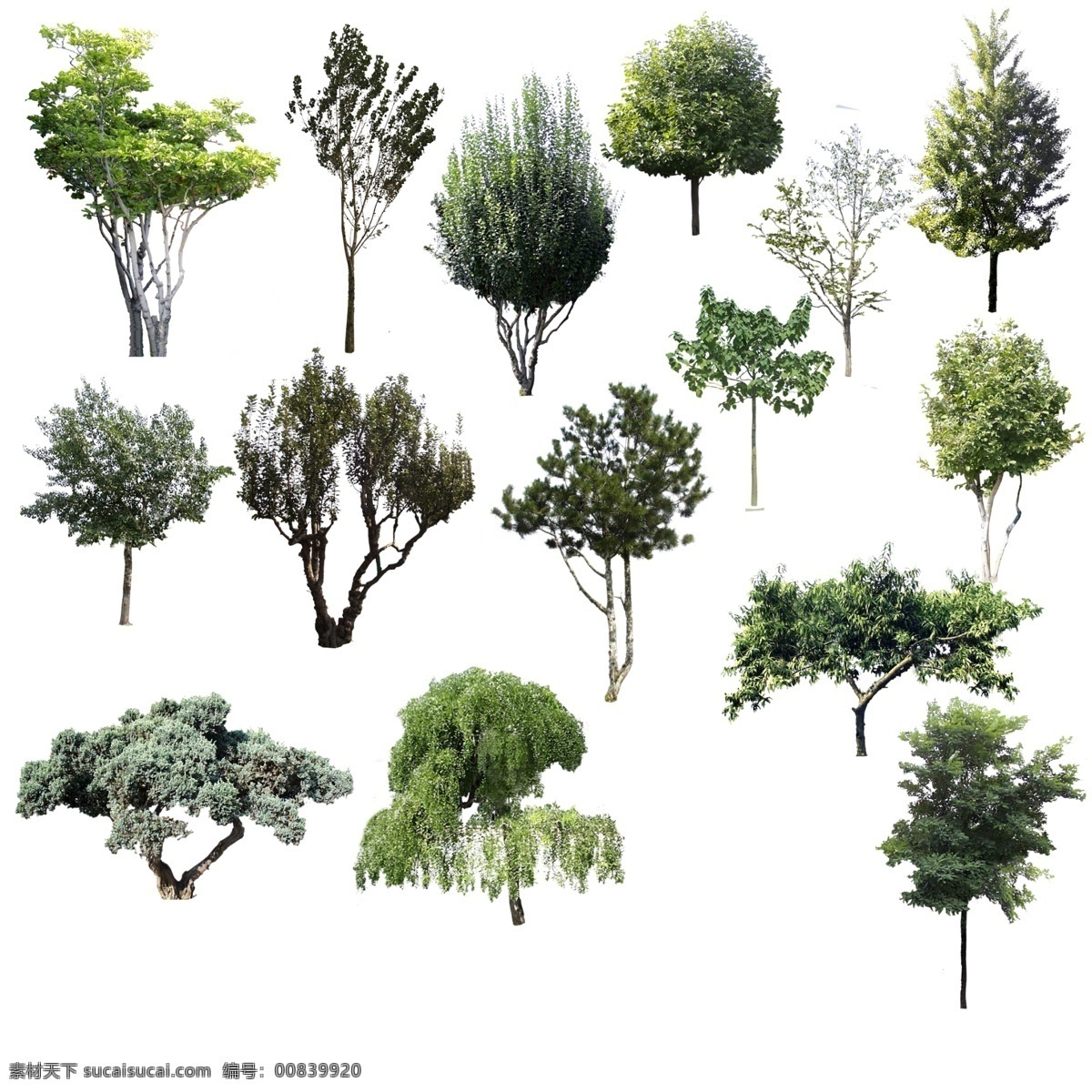 3d 室外 效果圖 環(huán)境 綠植 樹木 灌木 分層 后期素材 樹 樹木素材 源文件 模板下載 各種樹木 單株 后期 裝飾素材 室外設計