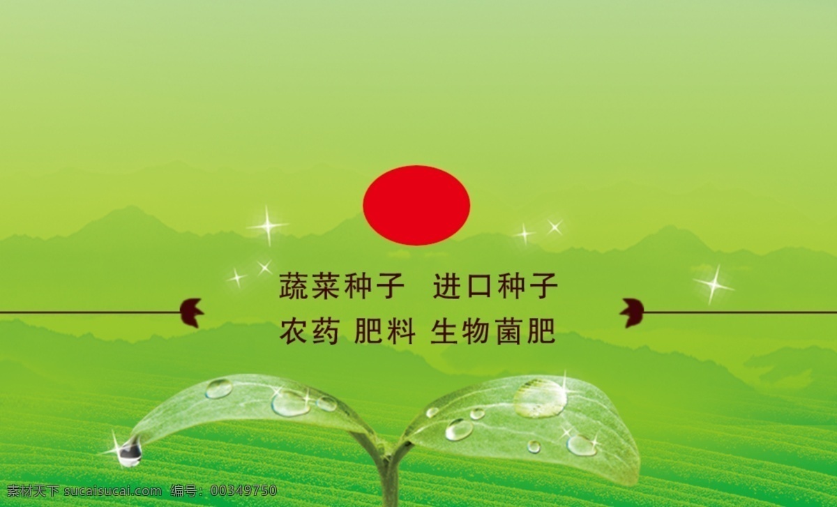 種子名片 種子公司名片 種業(yè)名片 玉米名片 南瓜名片 種子 名片設(shè)計(jì) 麥子 名片 農(nóng)業(yè)名片 科技名片 稻田名片 農(nóng)村 合作社 蔬菜名片 麥穗名片 農(nóng)作物名片 糧油名片 禾苗名片 名片模版 名片卡片 高檔名片 廣告設(shè)計(jì)模板 源文件