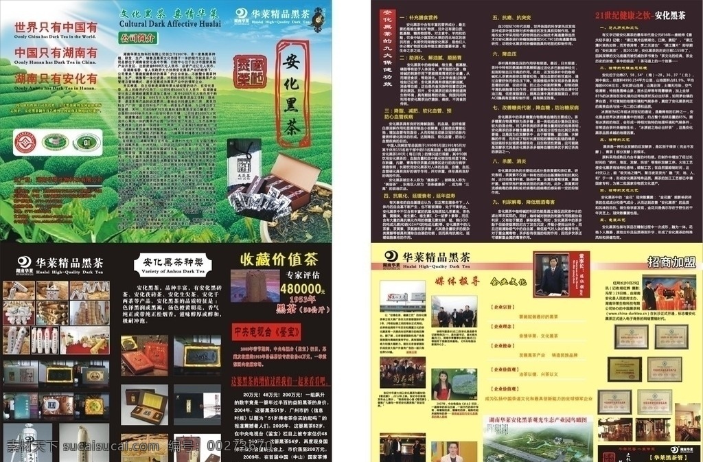 黑茶 茶 茶葉 華萊黑茶 安化黑茶 dm宣傳單 矢量