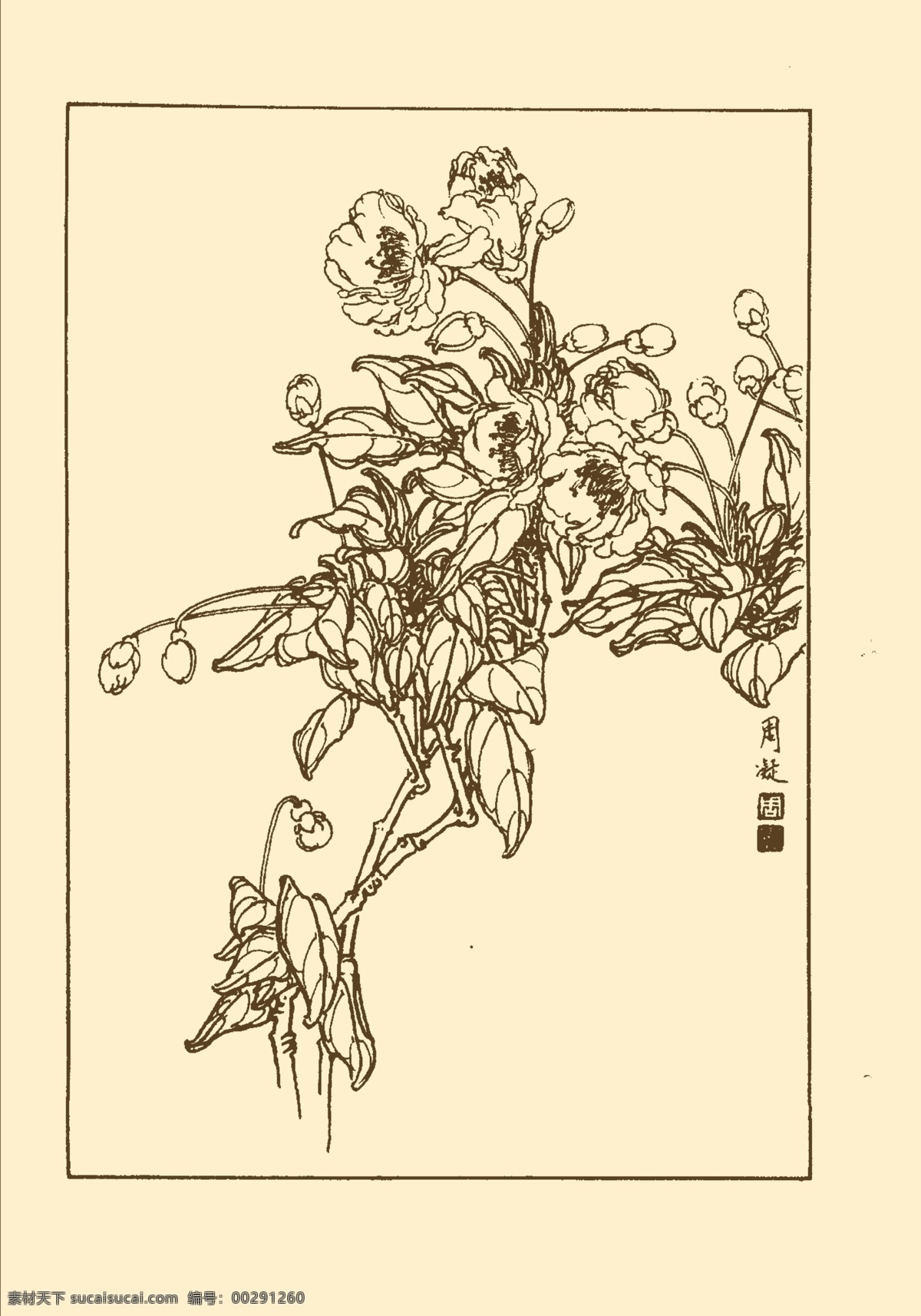 西府海棠 白描 花卉 花草 植物 國(guó)畫 中國(guó)畫 線畫 線稿 花卉白描 分層 源文件