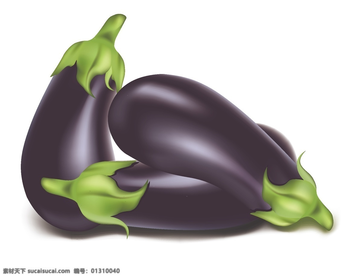 寫(xiě)實(shí) 風(fēng)格 茄子 矢量 逼真 番茄 矢量蔬菜 矢量圖 西紅柿 寫(xiě)實(shí)風(fēng)格 日常生活