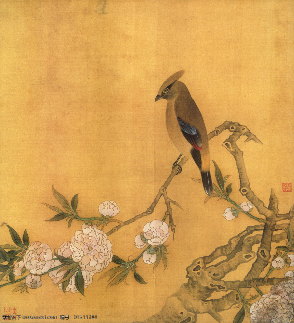 明 汪中 花鳥畫 十開 中國畫 工筆畫 工筆畫鳥 工筆 古代 古畫圖 工筆畫素材 國畫 水墨工筆畫 工筆畫畫稿 寫意繪畫 文化藝術(shù) 繪畫書法 高清 工筆畫展 歷代古畫