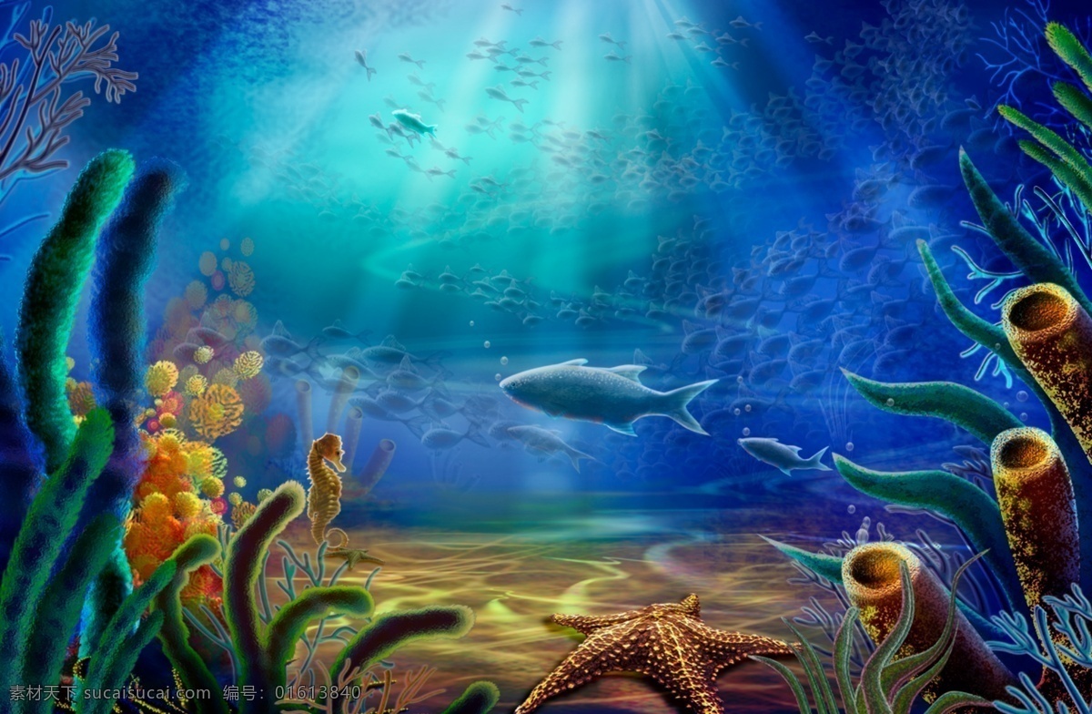 海底世界 鱼群 海草 水 光线 海洋 生物 分层 精美