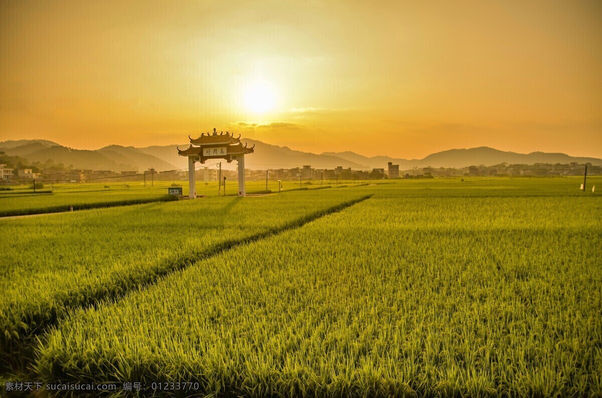 唯美 田野 豐收 圖 清新 綠色 自然 綠地 青草 藍(lán)天 陽光 田野風(fēng)景 白云 天空 綠野 踏青 彩虹 山脈 自然風(fēng)光 藍(lán)天白云 自然風(fēng)景 山頂 山頂豪宅 湖景海報(bào) 唯美海報(bào) 清新海報(bào) 親近自然 大樹 樹木 孤樹 風(fēng)景 風(fēng)光 大自然 草原背景 草地背景 旅游攝影 壁紙 自然景觀 小麥