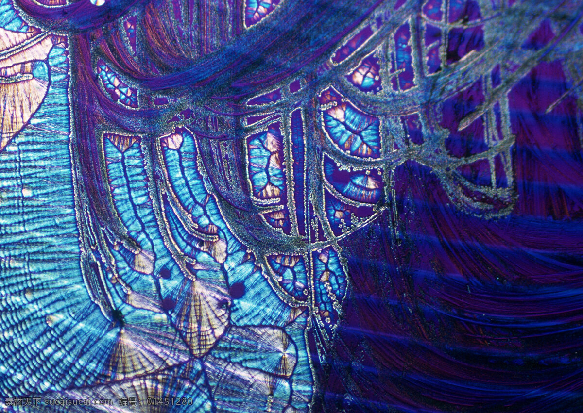 藍色 線條 網狀 結晶 細胞結晶圖片 微觀世界 細胞單元