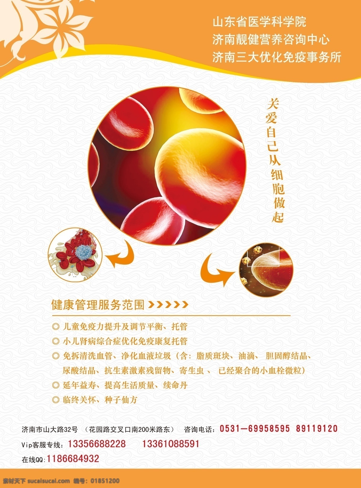 生物單頁 宣傳單 彩頁 單頁 醫(yī)療 細(xì)胞 癌細(xì)胞 dm宣傳單 廣告設(shè)計(jì)模板 源文件
