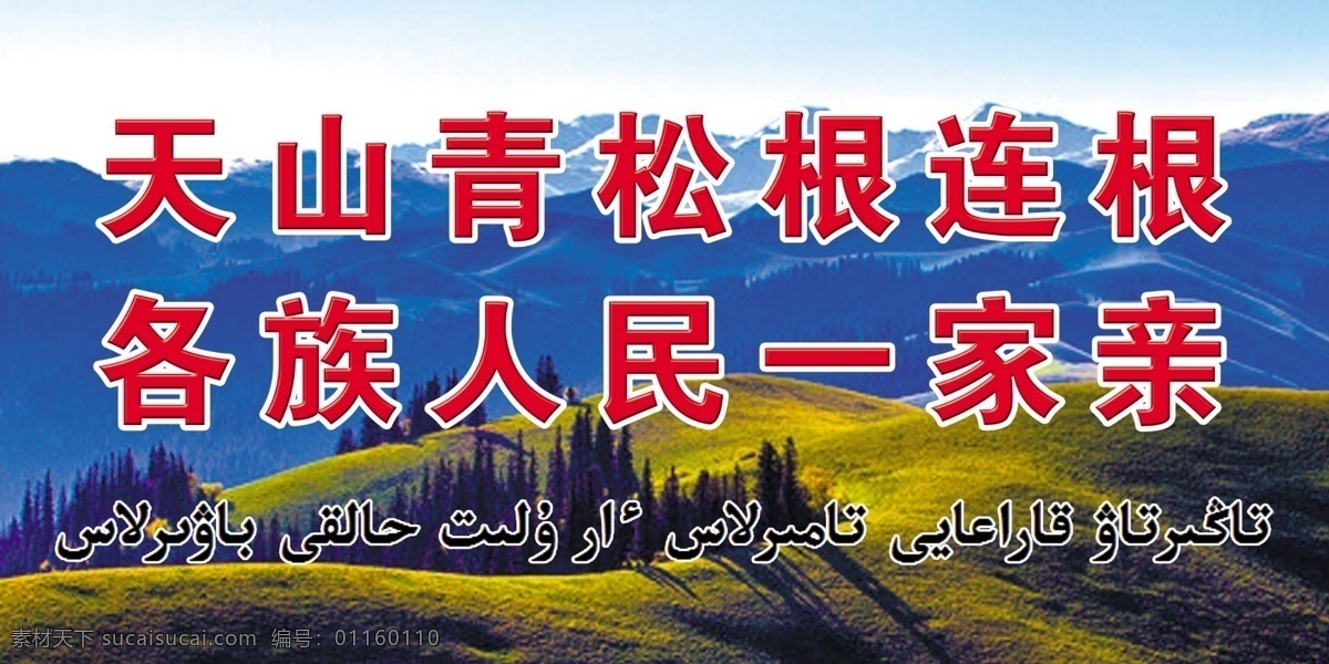 天山 青 松根 連根 各族 人民 一家親 民族團(tuán)結(jié)哈語(yǔ) 雪山背景 民族團(tuán)結(jié)展版 藍(lán)色