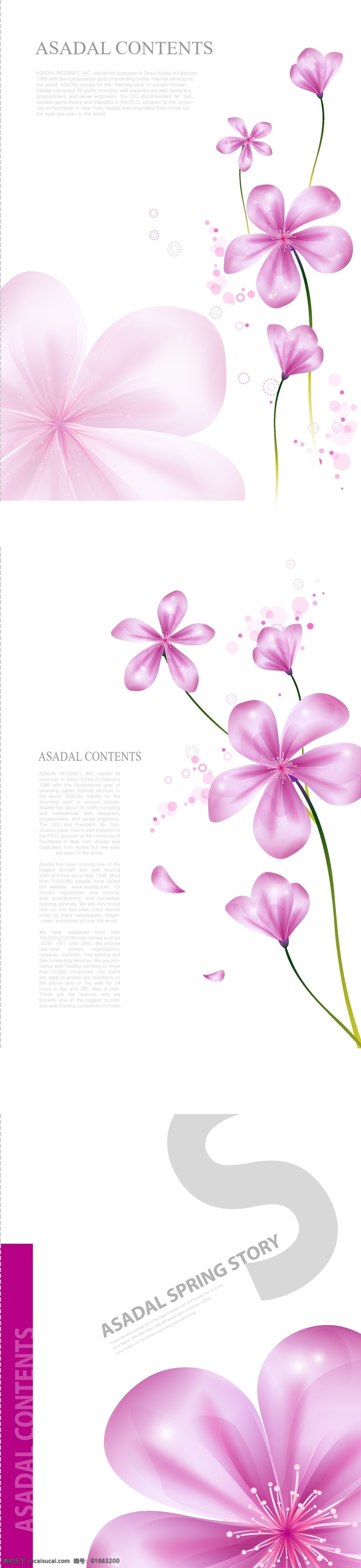 美麗 花卉 主題 布局 矢量 版面設(shè)計 簡單 排版 清潔 鮮花 矢量圖