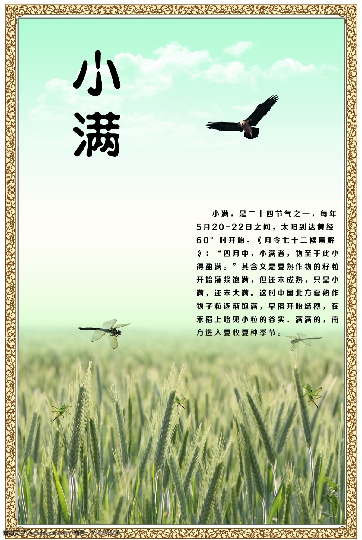 二十四節(jié)氣 小滿 傳統(tǒng)節(jié)氣 傳統(tǒng) 中華傳統(tǒng) 傳統(tǒng)文化 分層