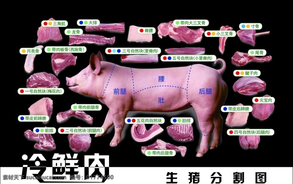 猪分解图 黑色 超市 广告 冷鲜肉