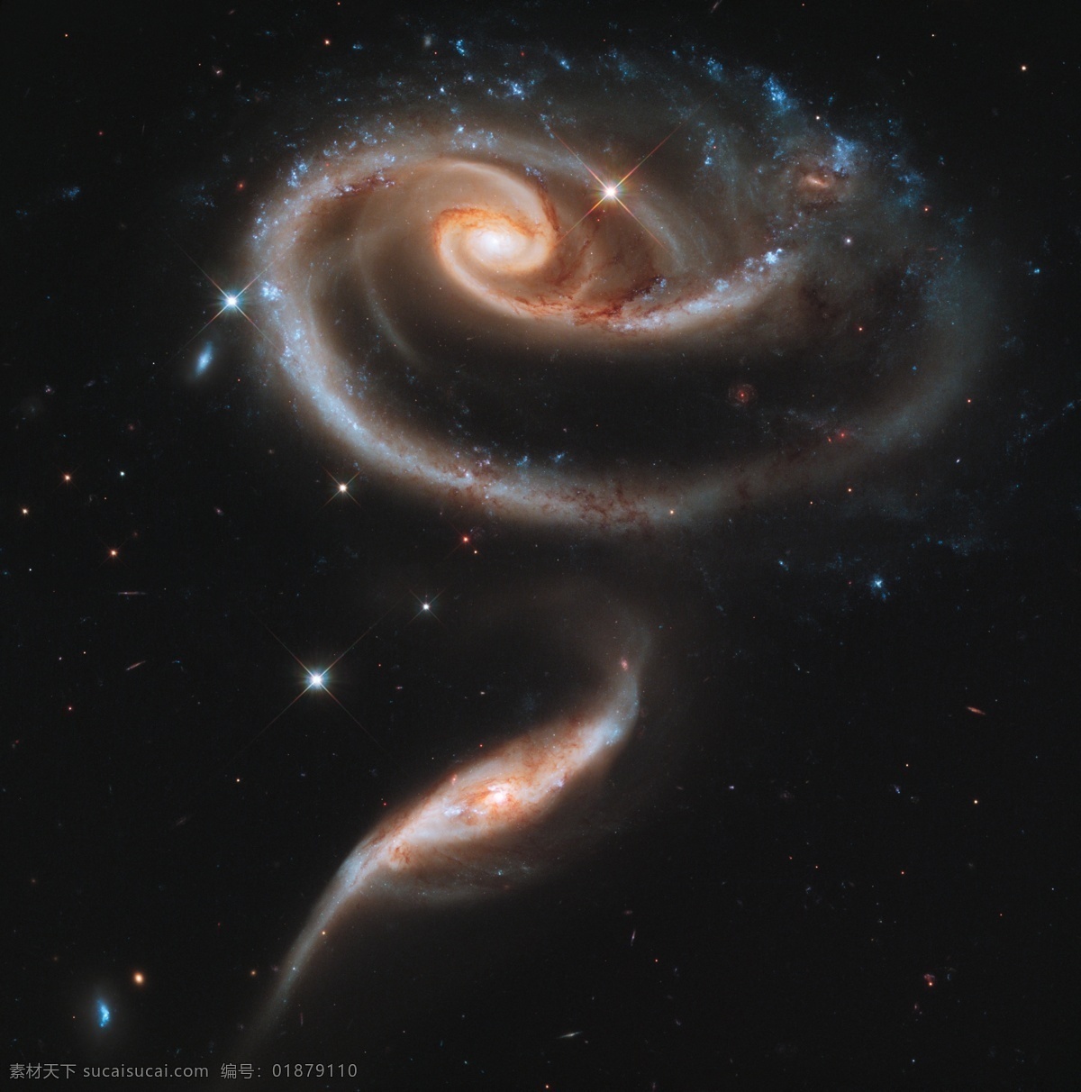玫瑰星系 星系 天文 宇宙 河外星系 玫瑰 自然風(fēng)光 自然景觀