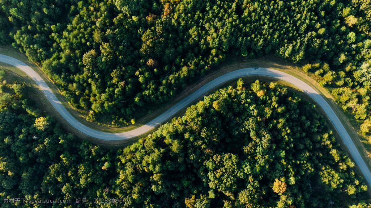 s山路图片 s形 山路 公路 创意 森林 合成素材 植物 俯视 自然景观 田园风光