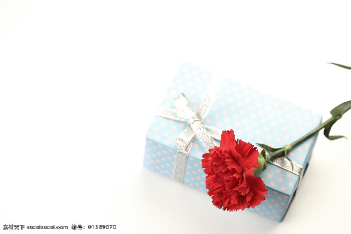 盒子 蝴蝶結(jié) 花草 花卉 節(jié)日 康乃馨 狂歡 禮盒 康乃馨和禮盒 禮物 情人節(jié) 圣誕節(jié) 新年 慶祝 母親節(jié) 生物世界 節(jié)日素材 母親父親節(jié)