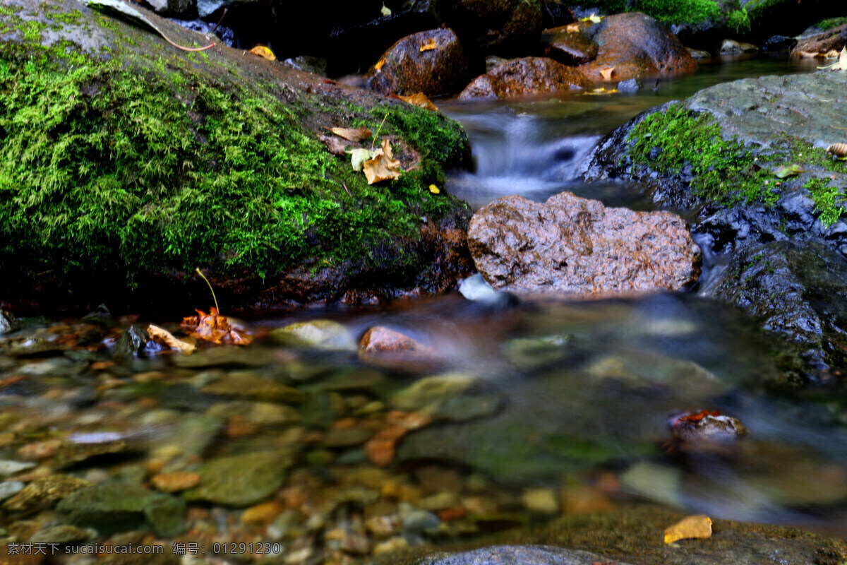 青苔綠石 青苔 綠石 流水 旅游 旅游攝影 國(guó)內(nèi)旅游 黑色