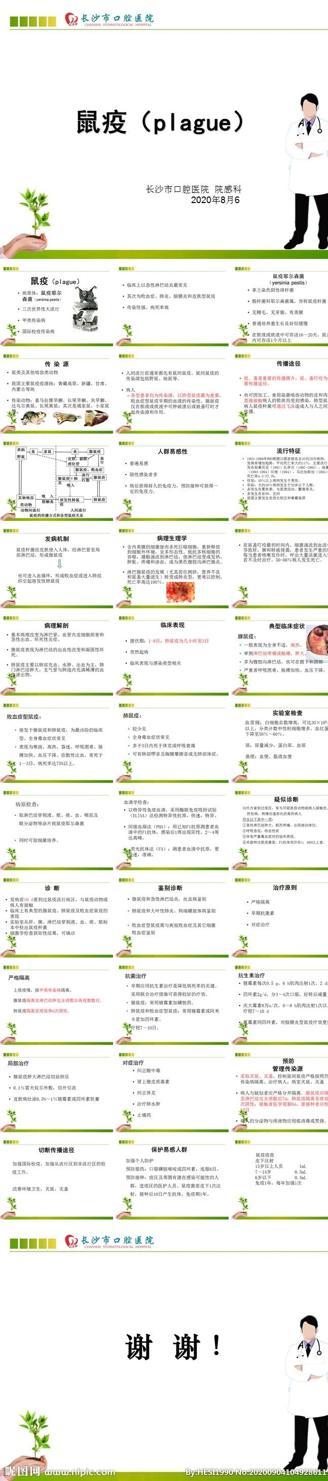 鼠疫 傳染病 知識 培訓 防控 多媒體 課件答辯