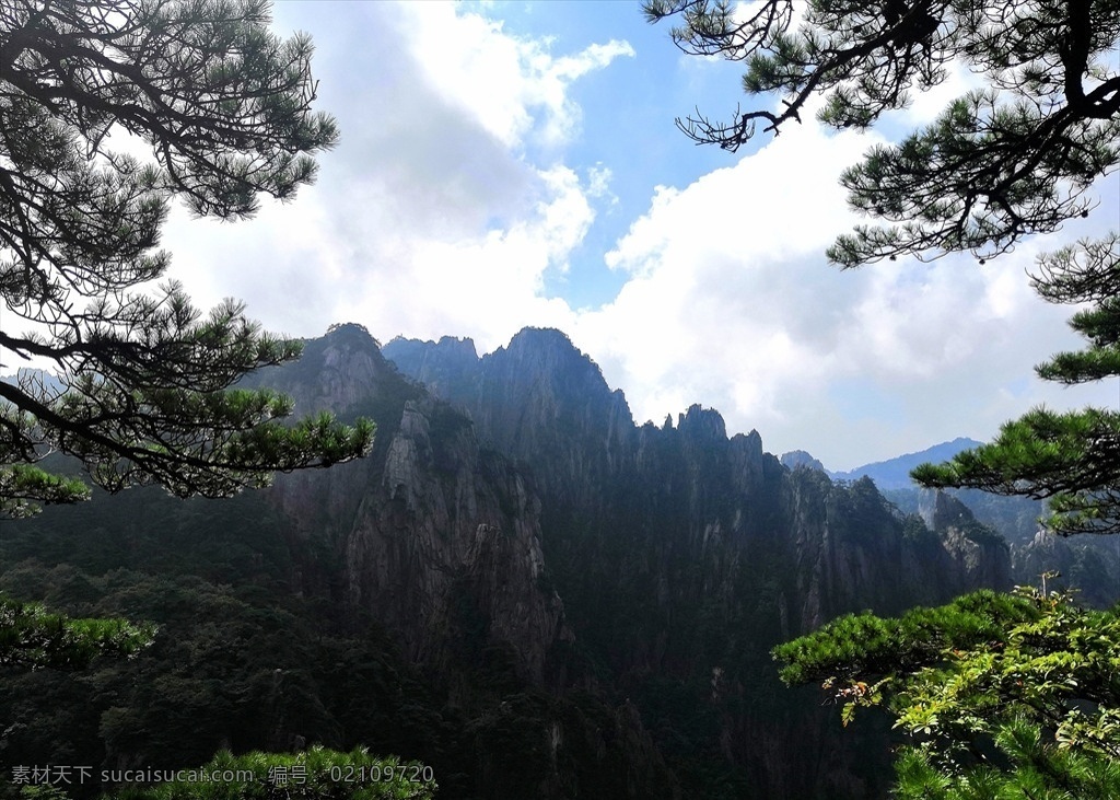 黄山风景 风景 黄山 旅游 景点 登山 松树 岩石 山峰 旅游名胜 名胜古迹 自然景观 风景名胜
