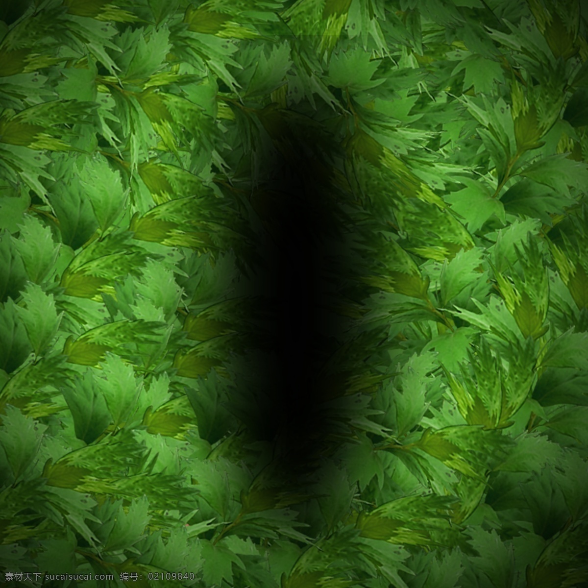 淘宝 主 图 艾 草 背景 主图 艾草 植物 淘宝界面设计 淘宝装修模板