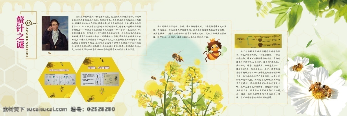 蜜蜂 文化 展廳 墻面 蜜蜂文化 展廳墻面 花 平面設(shè)計(jì) 采蜜 蜜蜂采蜜 蜜蜂知識(shí) 蜜蜂研究 蜜蜂文化展廳 蜂王 蜂蛹 文化形象墻