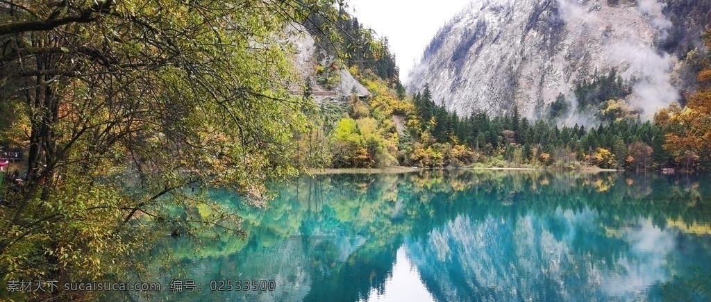 九寨溝 五 花海 樹(shù) 旅行 美景 風(fēng)光攝影 山水 四川阿壩 自然景觀 山水風(fēng)景
