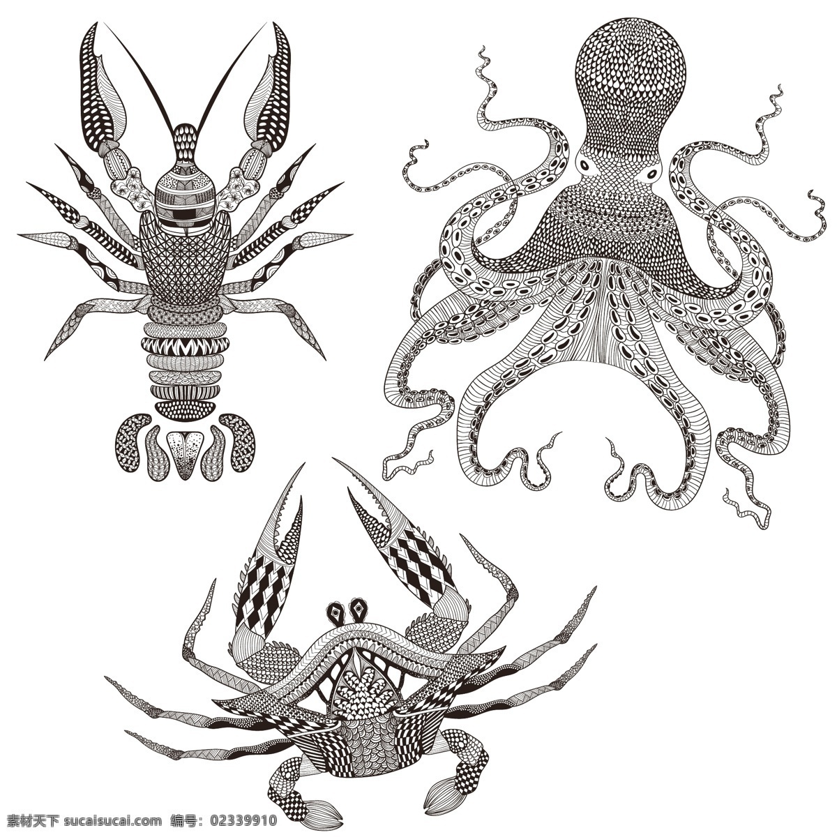 海洋 动物 花卉 装饰 图案 矢量 章鱼 龙虾 螃蟹