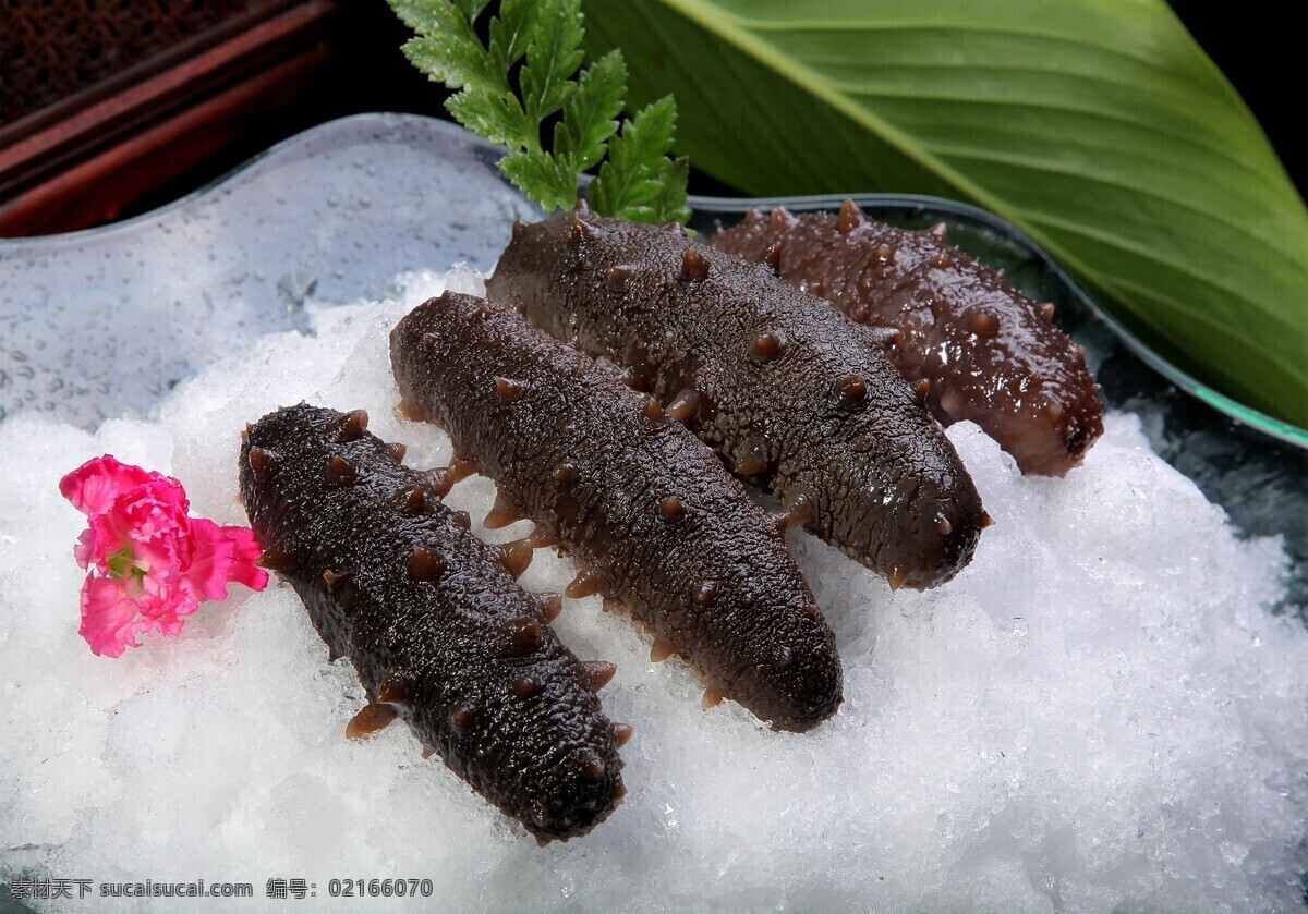 海參菜品圖片 海參菜品 美食 傳統(tǒng)美食 餐飲美食 高清菜譜用圖