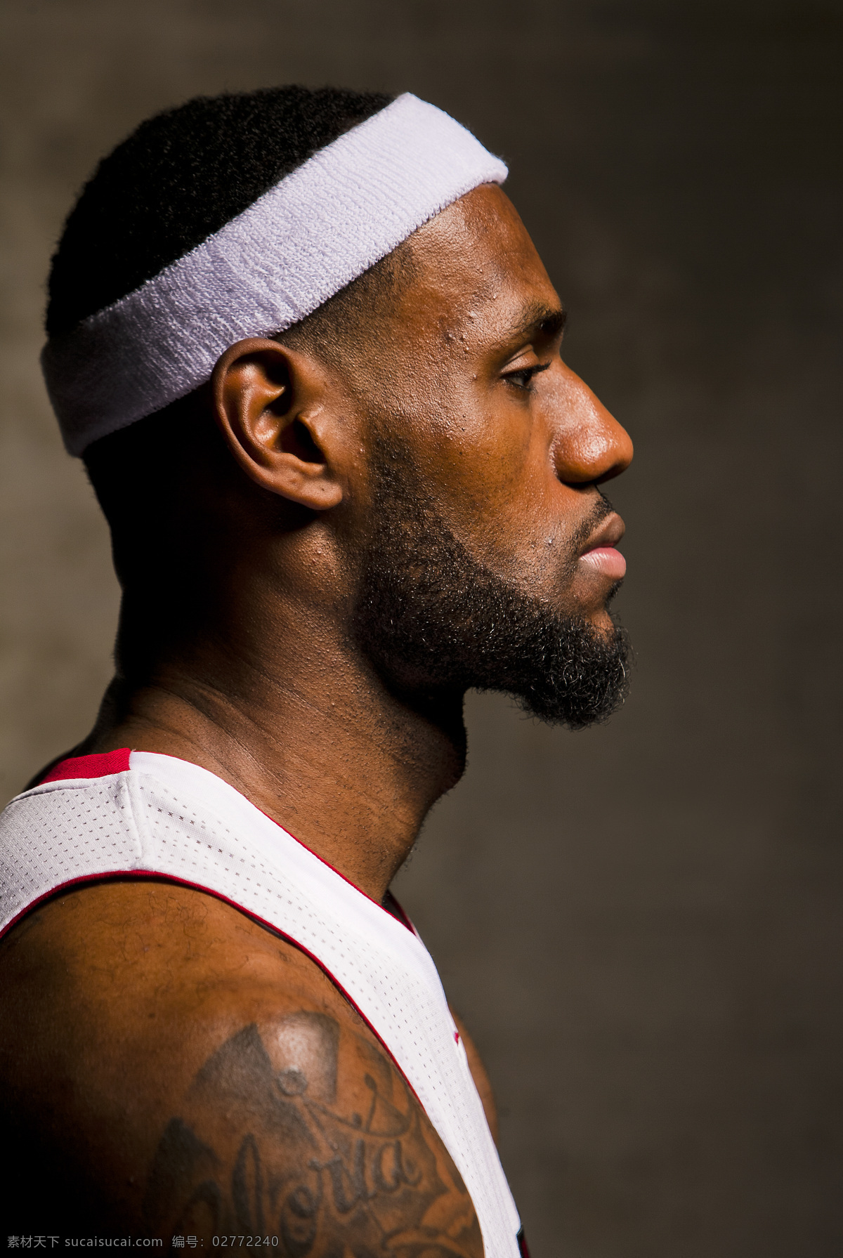 詹姆斯 新 赛季 媒体 勒布朗 lebron james 勒布朗詹姆斯 nba 篮球 宣传照 2012 媒体照 人物摄影 人物图库