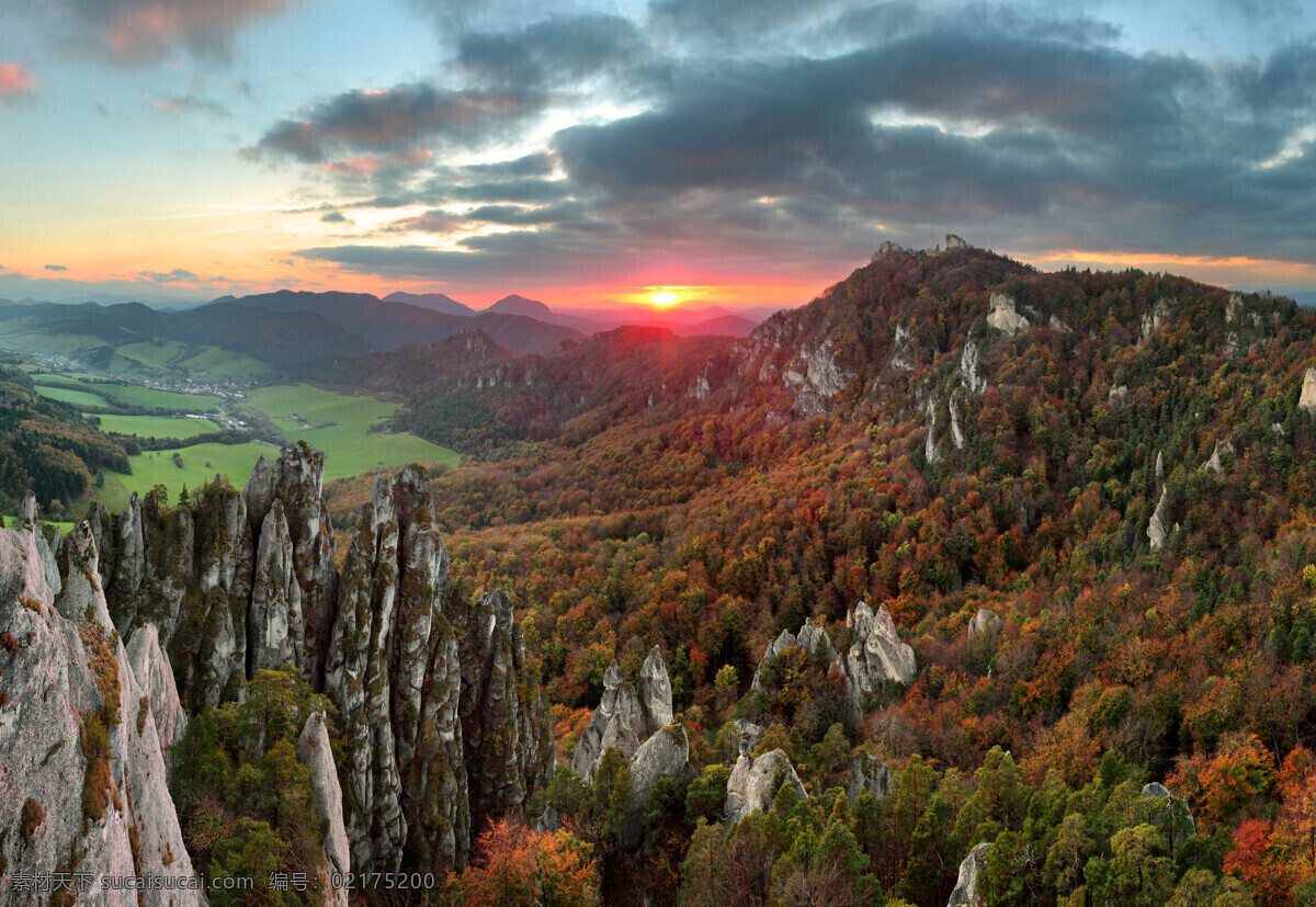美麗 樹林 風(fēng)景攝影 森林風(fēng)景 美麗景色 美麗風(fēng)景 美景 自然風(fēng)光 自然風(fēng)景 自然景觀 黑色