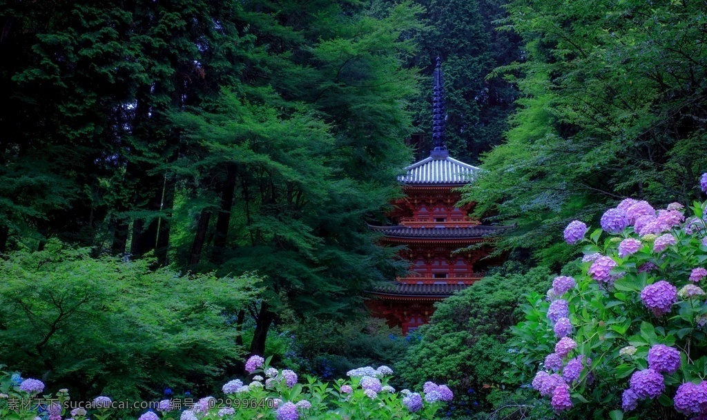 日本京都公园 日本京都 公园 绿色树木 灌木 绣球花 塔 绿色 高清壁纸 4k 高清 壁纸 背景 桌面 电脑壁纸 拍摄 风景 美景 景色 分层