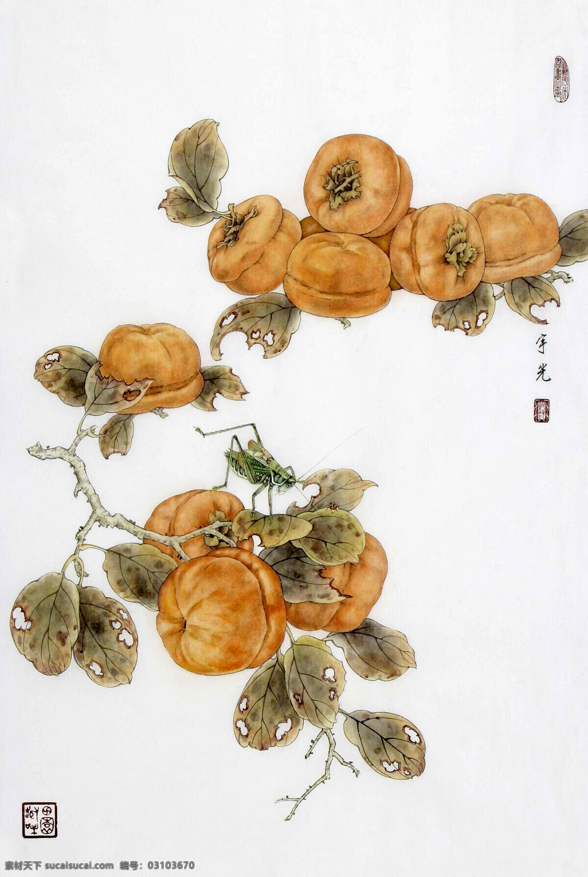 蟲(chóng)子 豐收 工筆畫 國(guó)畫 國(guó)畫藝術(shù) 果樹(shù) 繪畫 繪畫書法 柿子熟了 美術(shù) 水墨畫 柿子 水果 書法 印章 國(guó)畫集13 文化藝術(shù) 裝飾素材 雕刻 圖案