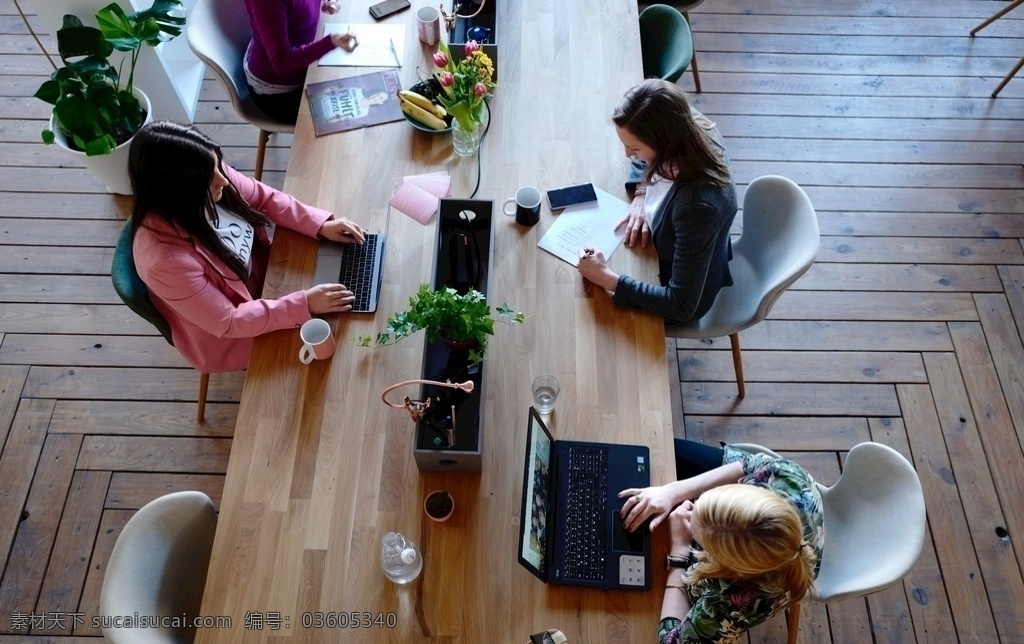 办公室 上班 女性 女 开会 讨论 电脑 植物 记录 手提电脑 会议室 办公场景 木 木桌 木制品 手机 水杯 人物 商务金融 商务场景