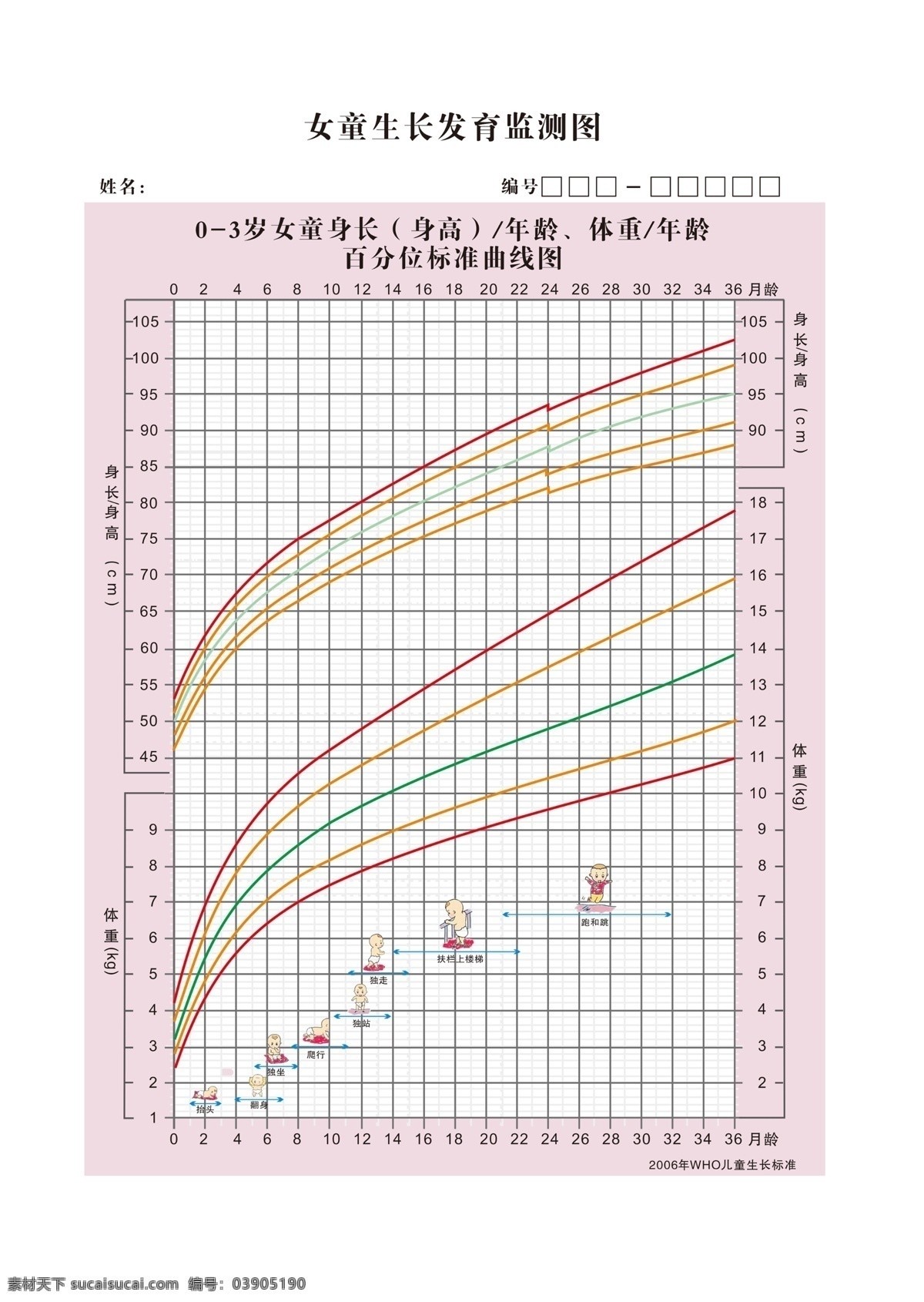 女童 生長發(fā)育 監(jiān)測 圖 女生 監(jiān)測圖 監(jiān)測表 粉色 分層