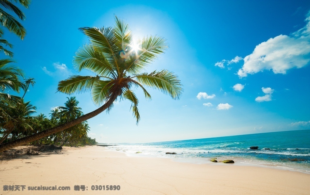 夏日陽光 海邊 沙灘 陽光 夏天 藍天 白云 椰樹 自然風景 自然景觀