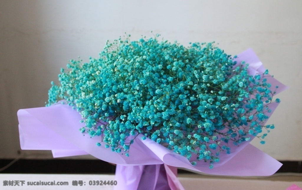 束 滿天星 辦公室鮮花 妖艷的滿天星 滿天星藍(lán)色 滿天星花語(yǔ) 滿滿的愛(ài) 朋友的滿天星 藍(lán)色滿天星 超美滿天星 大束滿天星 一束滿天星 鮮花包裝 自制鮮花 過(guò)節(jié)禮物 鮮花送美女 綻放的鮮花 手捧大束鮮花 抱鮮花 鮮花送人 一大束鮮花 一束花 鮮花一束 鮮花 捧花 花草 花藝 送花 花卉 一束鮮花 花兒 花朵 拍攝鮮花 生物世界