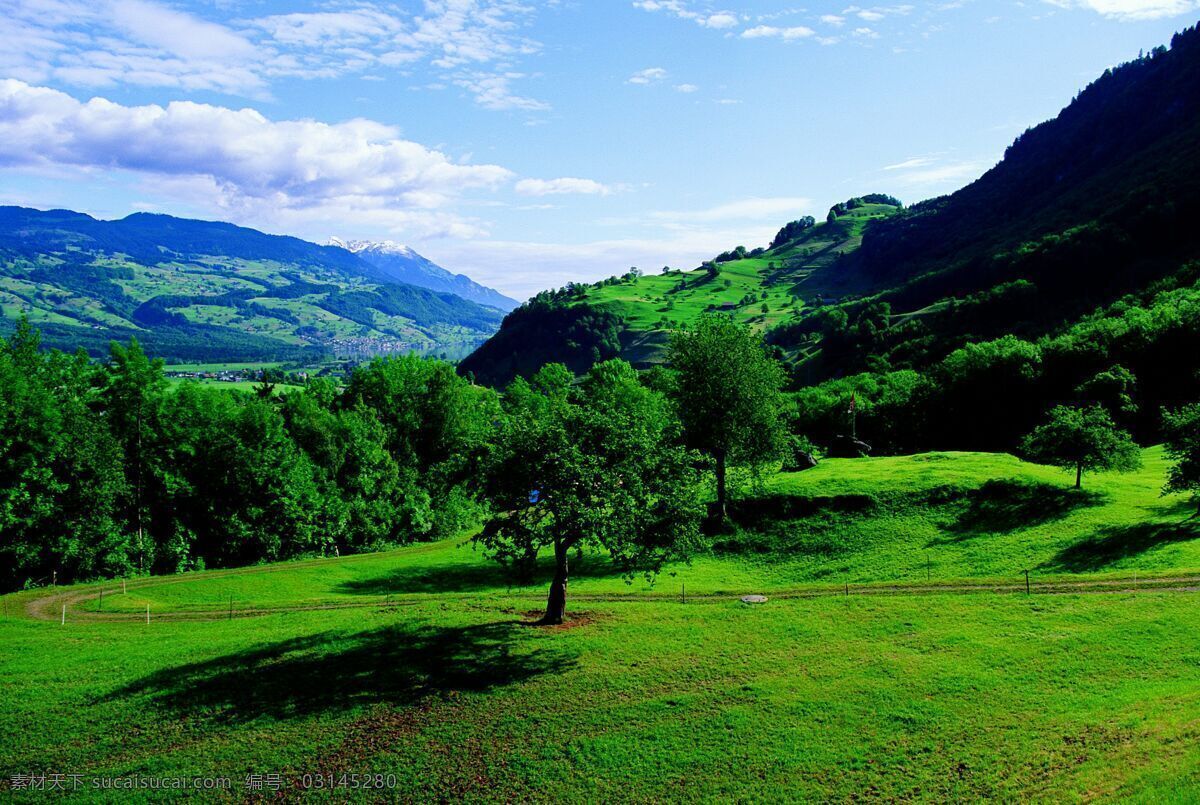 樹免費下載 風景 綠色 山水風景 攝影圖 樹 植物 自然景觀 水 家居裝飾素材 山水風景畫