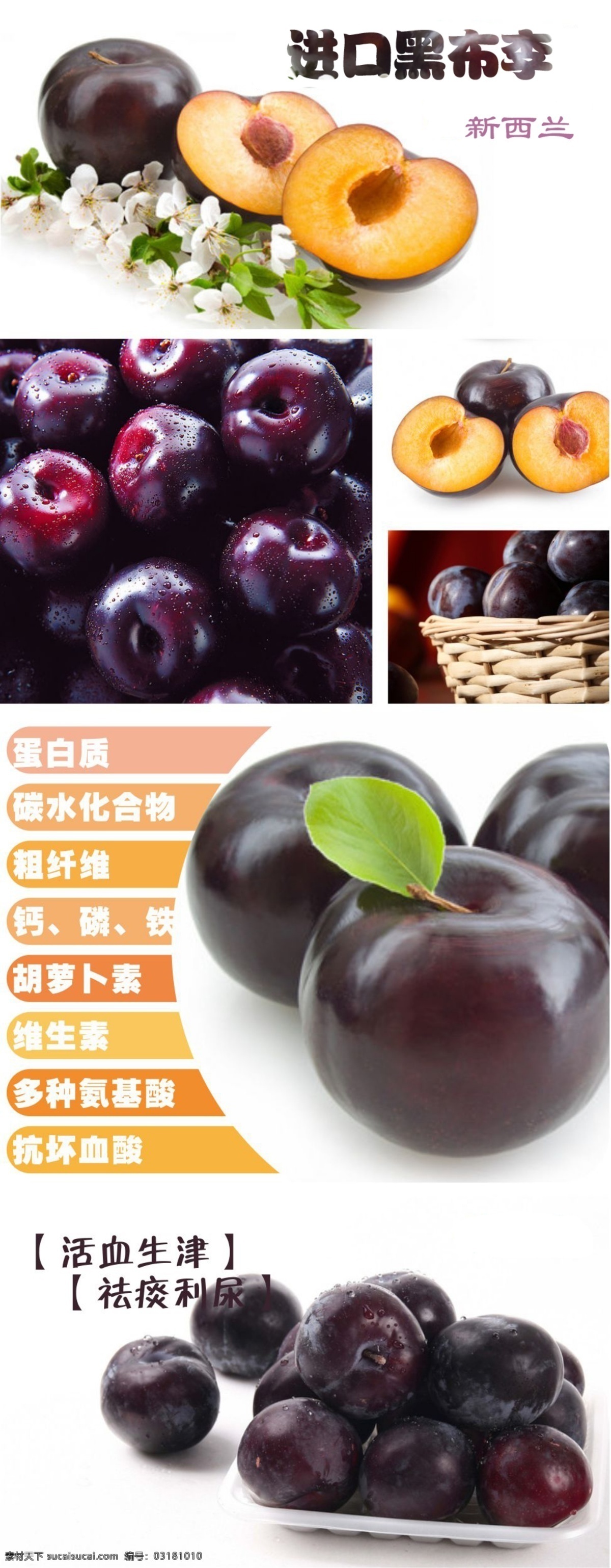 水果免費(fèi)下載 進(jìn)口黑布李 新西蘭水果 水果 原創(chuàng)設(shè)計(jì) 原創(chuàng)網(wǎng)頁設(shè)計(jì)