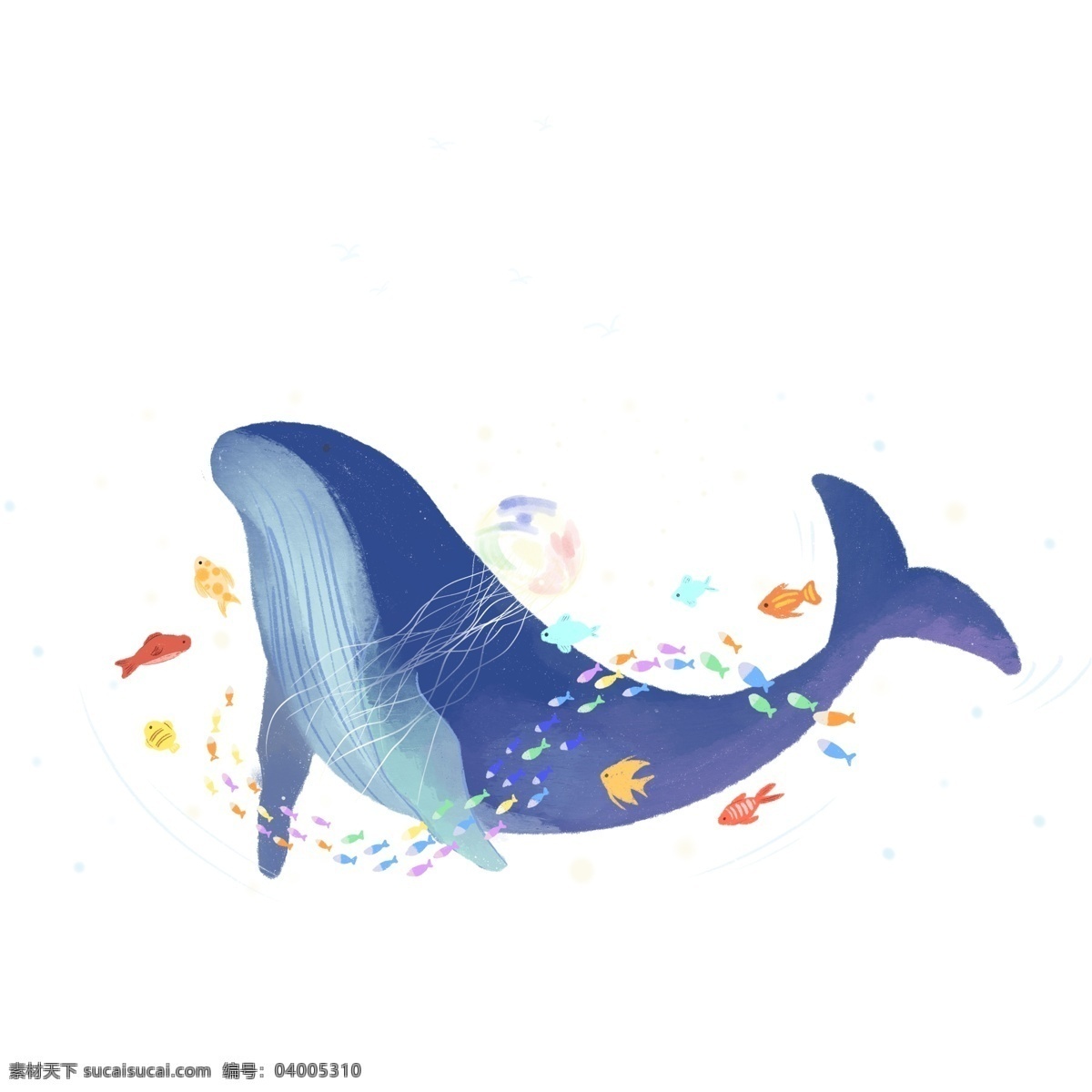 手绘 鲸鱼 小鱼 插画 元素 唯美 卡通