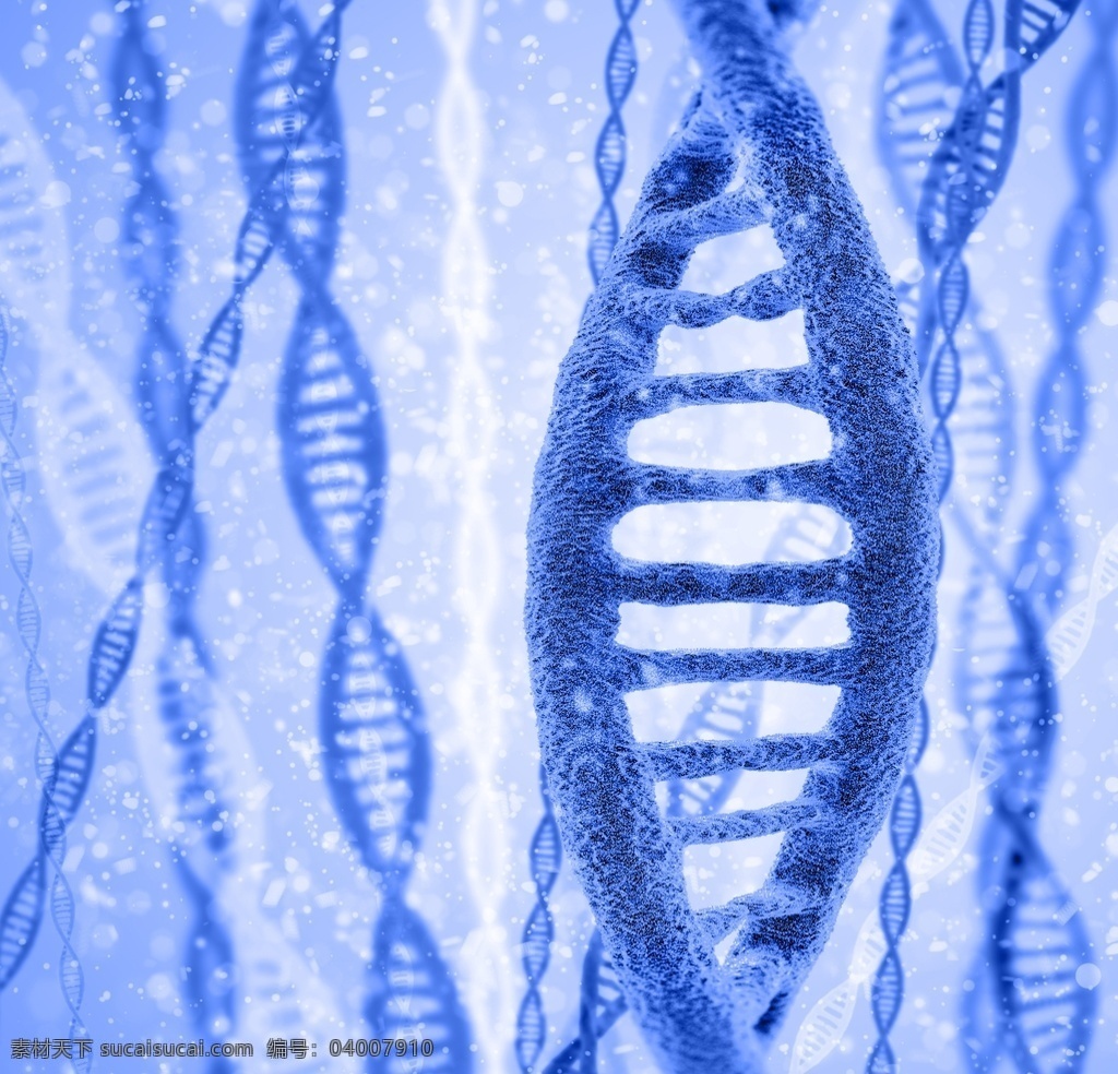基因鏈dna 基因dna dna結(jié)構(gòu)圖 dna背景 dna dna分子 基因組 螺旋 醫(yī)學(xué) 醫(yī)學(xué)研究 醫(yī)學(xué)實(shí)驗(yàn) 科學(xué) 生命 科技 結(jié)構(gòu) 組織 制藥 生物研究 遺傳學(xué) 現(xiàn)代醫(yī)療 科研 生物 生物醫(yī)學(xué) 醫(yī)學(xué)醫(yī)療 生物基因 化學(xué)醫(yī)療 化學(xué)dna 基因工程 基因檢測(cè) 基因鏈 基因 學(xué)術(shù)研究 醫(yī)療基因 科技背景 科學(xué)分子 生活百科