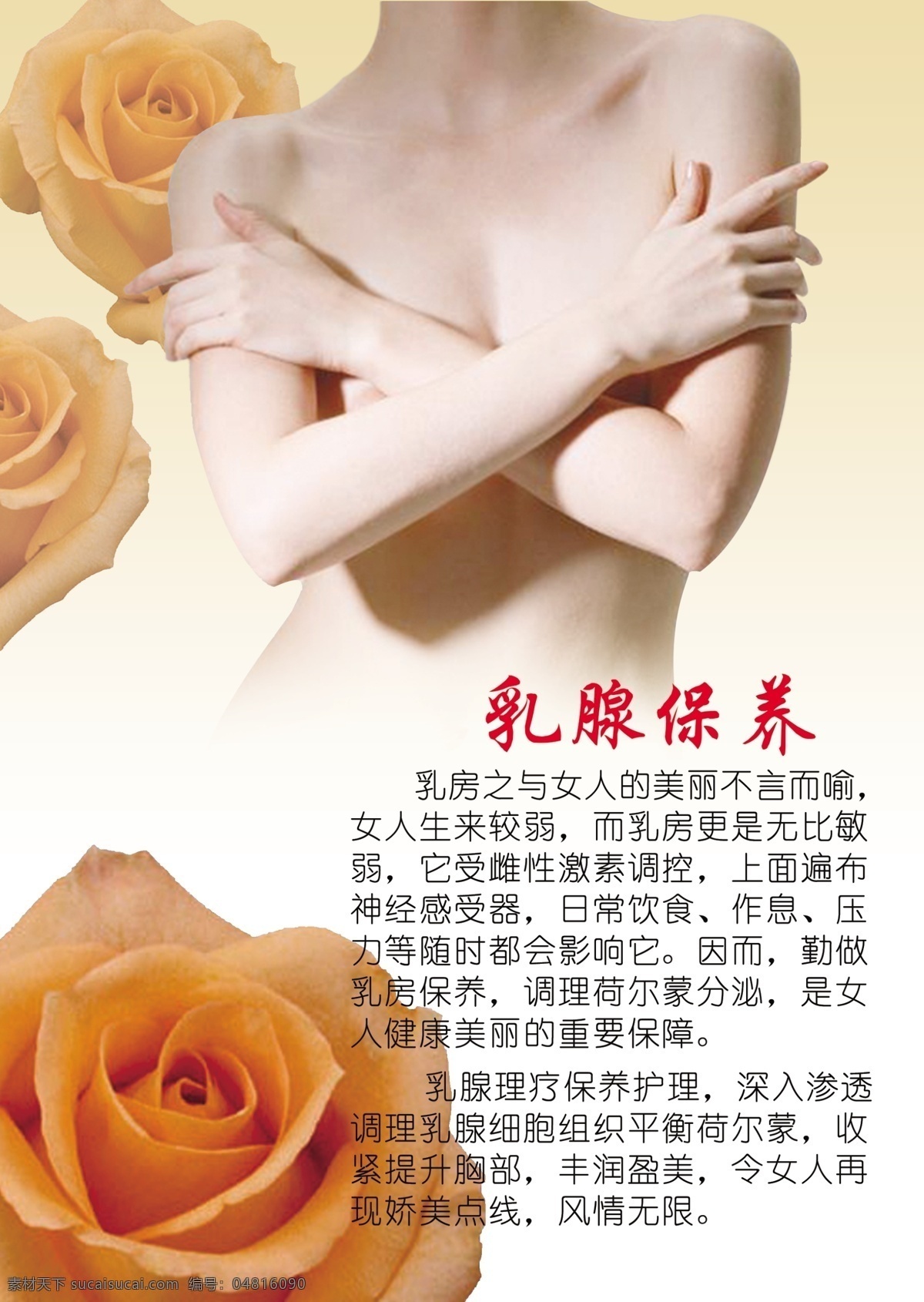 乳腺保養(yǎng) 乳腺 保養(yǎng) 美容 皮膚管理 美容展板 美容養(yǎng)生 鮮花 ps分層素材 展板模板
