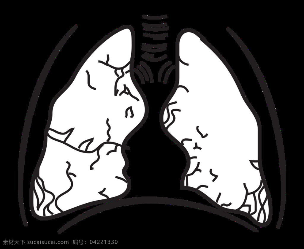 mainthe brain in spacepage lungs 肺 科學(xué) 空間 美國 腦 圖 醫(yī)學(xué) 政府 解剖 天文學(xué) 轉(zhuǎn)換 美國國家航空航天局