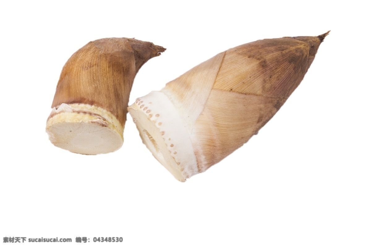 兩 根 美味 新鮮 竹筍 兩根 野生 特產(chǎn) 香甜 食物 食材 植物 顏色 綠色食品 維生素 清脆可口 營(yíng)養(yǎng)