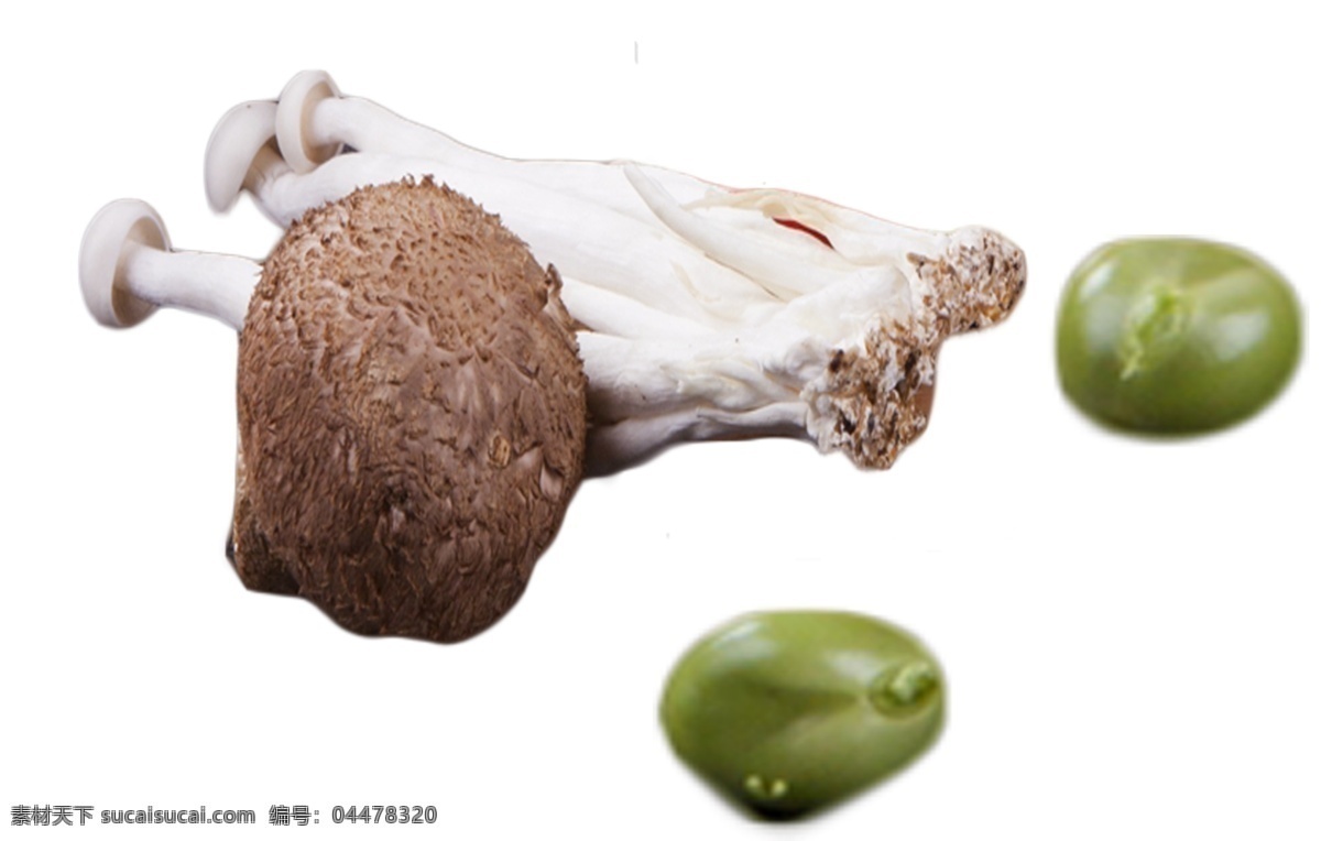香氣 濃厚 健康 食 材 菌類 即營養(yǎng)又健康 好吃 新鮮 味美更健康 健康美味 味美色香 香氣濃厚 回味無窮 唇齒留香 美味 細膩油滑