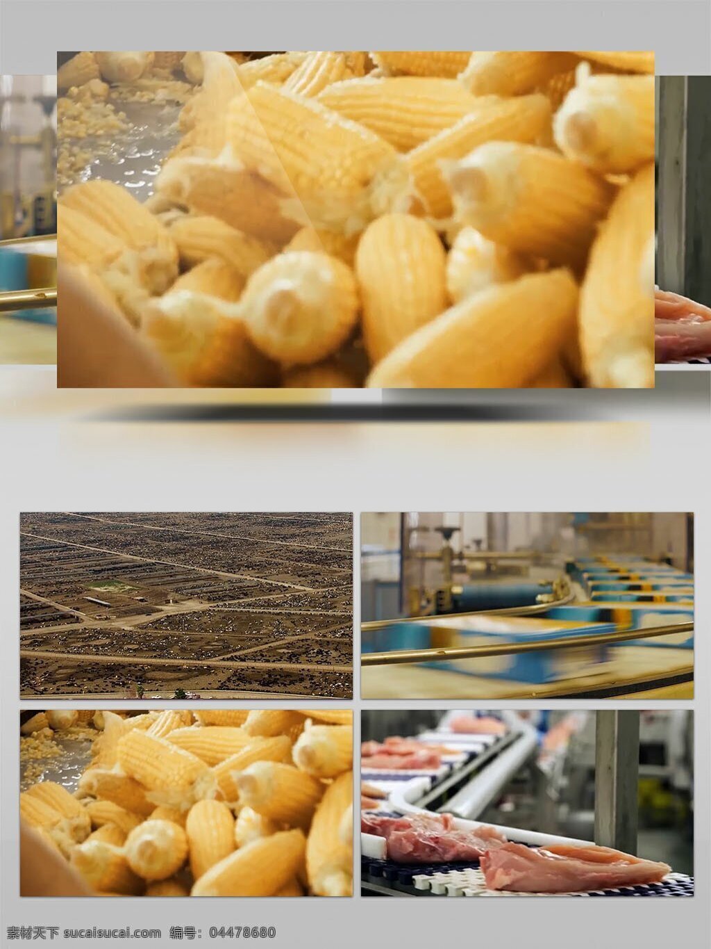 農(nóng)產(chǎn)品 加工 食品 制作 工廠 工廠素材 食品制作