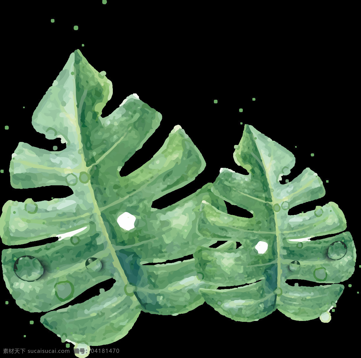 森 系 北欧 热带雨林 手绘 水彩 树叶 森系 动画 水粉 插画 免扣素材 设计素材 生物世界 花草