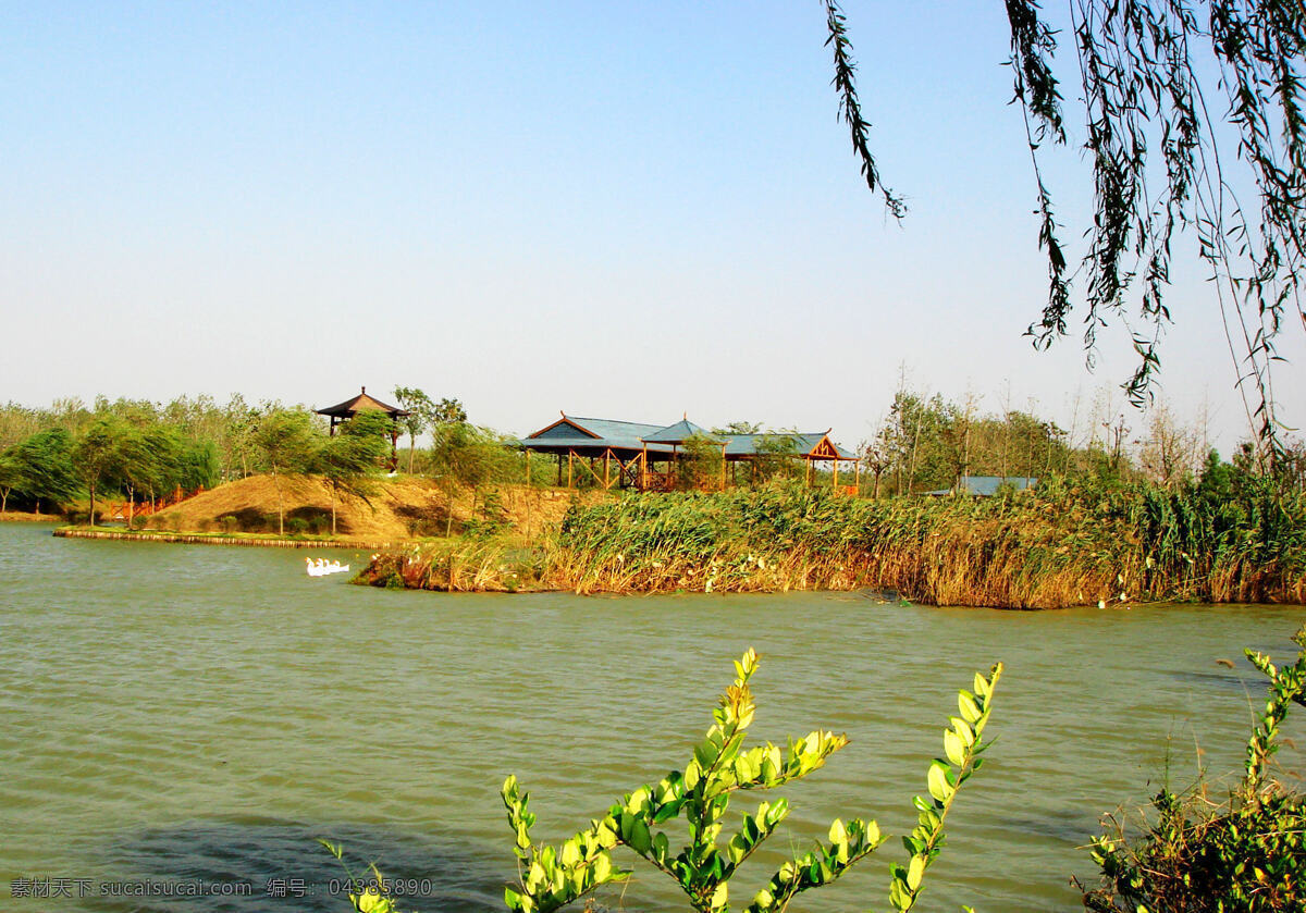 郊外風(fēng)景 合肥 大圩鄉(xiāng) 農(nóng)莊 都是農(nóng)莊 鄉(xiāng)村 風(fēng)景 湖水 河水 農(nóng)家樂 生態(tài) 自然風(fēng)光 白鵝 美景 旅游 山水風(fēng)景 自然景觀