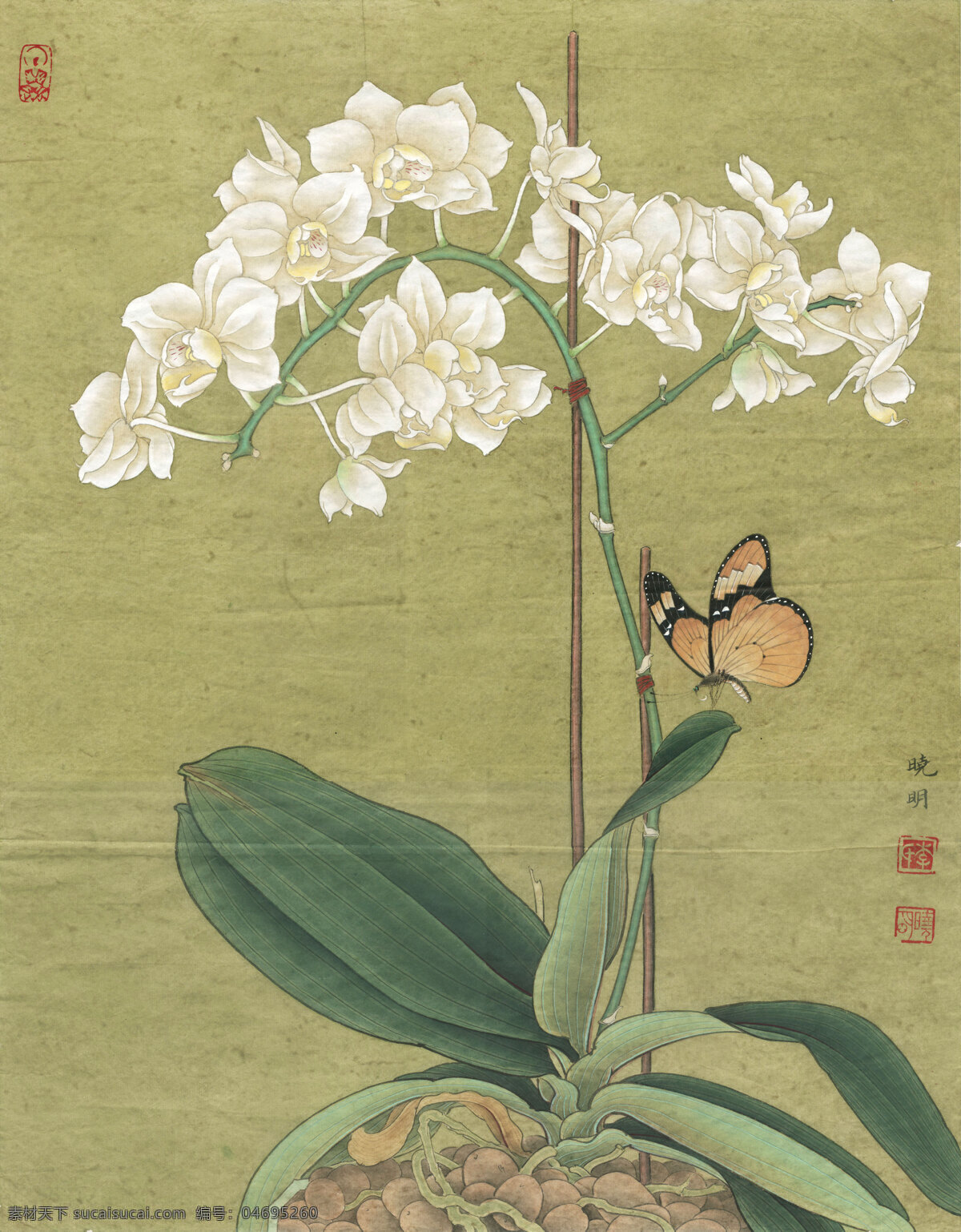 白 蝴蝶蘭 古畫 室內(nèi)裝飾用圖 白蝴蝶蘭 裝飾素材